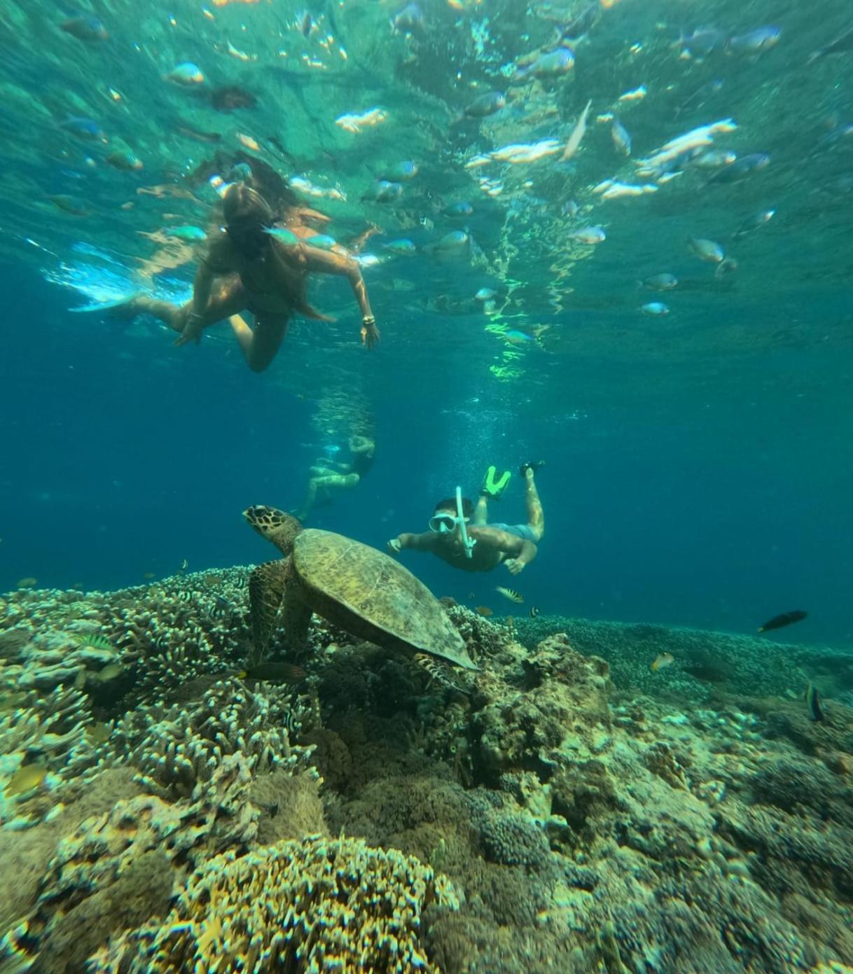 Pondok Anjani Hotel Gili Meno Luaran gambar