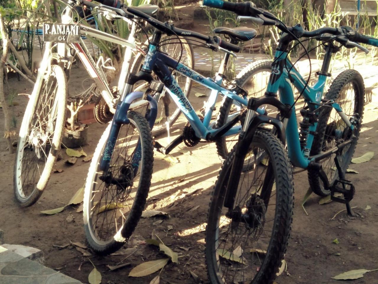 Pondok Anjani Hotel Gili Meno Luaran gambar